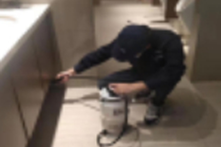 1589608363121664.jpg